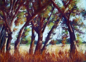 LANDSCAPES