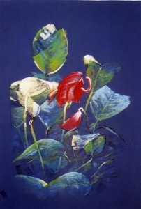 STILL LIFE